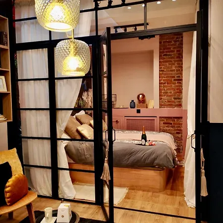 Charming Artist In Le Marais Paris