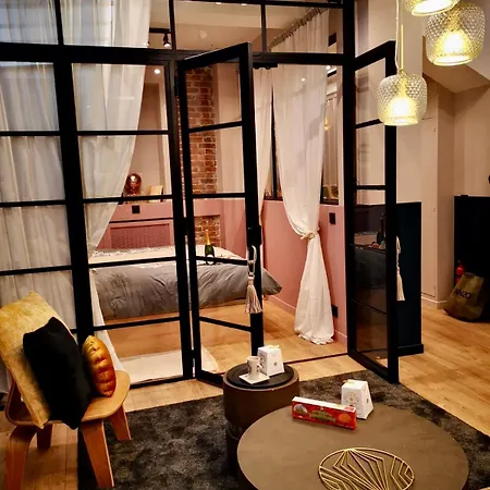 Charming Artist In Le Marais Paris